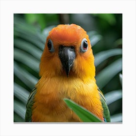 Parrot 11 Canvas Print