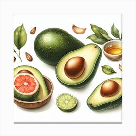 Avocados 2 Canvas Print