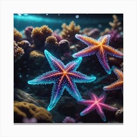 Starfishes Canvas Print