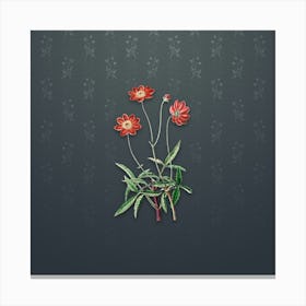 Vintage Cosmos Flower Botanical on Slate Gray Pattern n.0065 Canvas Print
