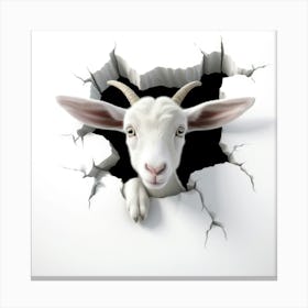 Goat Peeking Through A Hole Canvas Print