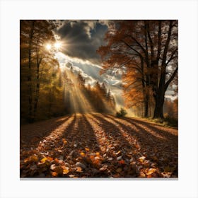 Autumn Rays Canvas Print