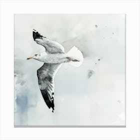 A Seagull Flying High Canvas Print