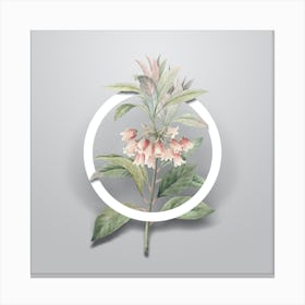 Vintage Chinese New Year Flower Minimalist Flower Geometric Circle on Soft Gray n.0057 Canvas Print