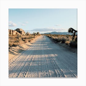 Deserted Desert Road Canvas Print