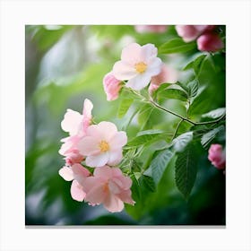 Flowers Leaves Nature Soft Freshness Pastel Botanical Plants Blooms Foliage Serene Delic (3) Canvas Print