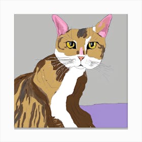 Cat Portrait #3 Canvas Print