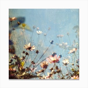 Cosmos Canvas Print