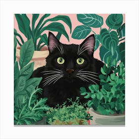 Black Cat In Pots 3 Canvas Print