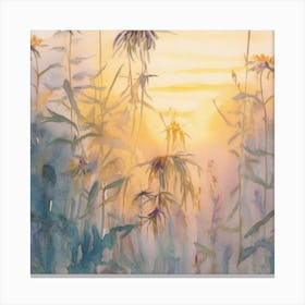 Sunset Over Wildflowers Canvas Print