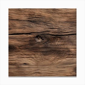 Old Wood Texture 3 Canvas Print