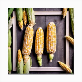 Corn On The Cob 13 Canvas Print