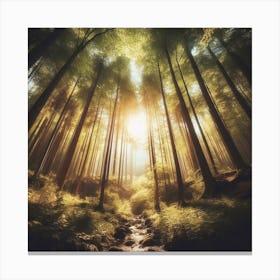 Photograph - Stream In A Forest Canvas Print