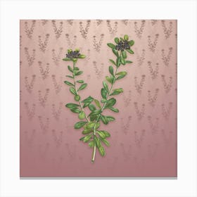 Vintage Daphne Sericea Flowers Botanical on Dusty Pink Pattern n.1069 Canvas Print