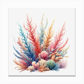 Coral Reef Canvas Print