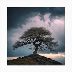 Lone Tree, A Lone Tree Standing Strong On A Cliff Edge Against A Stormy Sky Representing The Courage Canvas Print