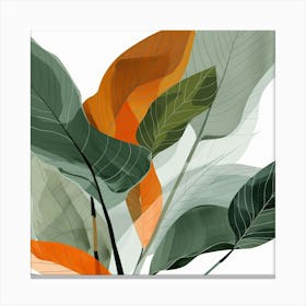 Abstract Leaves 41 Canvas Print