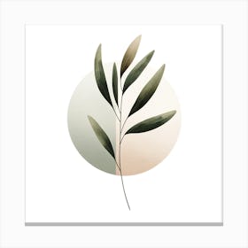 Olive Branch Canvas Print