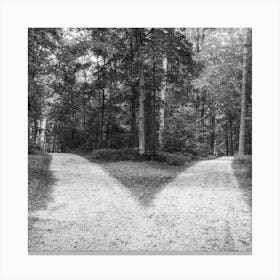 Forked roads in old green forest Canvas Print
