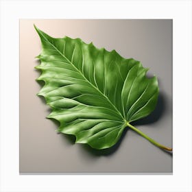 green Leaf 1 Canvas Print