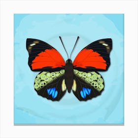 Mechanical Butterfly The Agrias Amydon Tryphon On A Light Blue Background Canvas Print