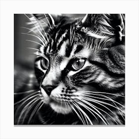 Black And White Cat 31 Canvas Print