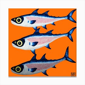 Three Sardines Canvas Print