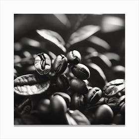 Coffee Beans 52 Canvas Print