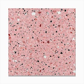 Pink Granite 1 Canvas Print