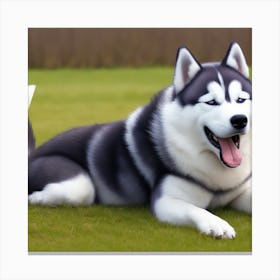 Siberian Husky Canvas Print