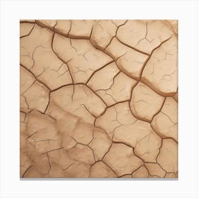 Cracked Earth 4 Canvas Print