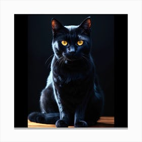 Magical Black Cat Sitting (2) Canvas Print