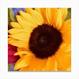 Sunflower In Oil Square Canvas Print