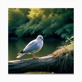 Heron 1 Canvas Print