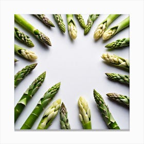 Asparagus Spears In A Circle Canvas Print