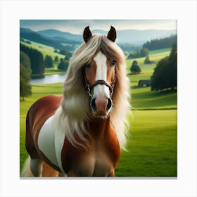 Horse In A Field 1 Canvas Print