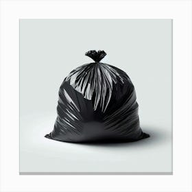 "The Weight of Waste: A Profound Exploration of Modern Society's Disposable Nature through the Medium of a Single Black Garbage Bag Canvas Print