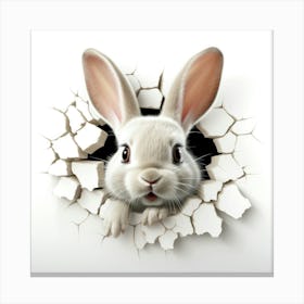 Rabbit Peeking Through A Hole 17 Canvas Print