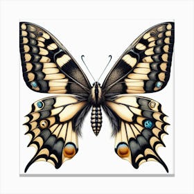 Butterfly of Papilio machaon 3 Canvas Print