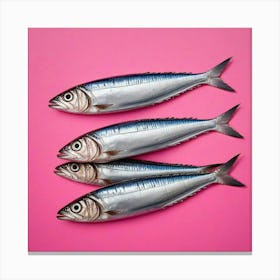 Sardines Art Prints (15) Canvas Print