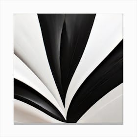 'Black And White' Canvas Print