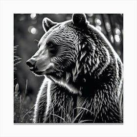 Grizzly Bear 1 Canvas Print
