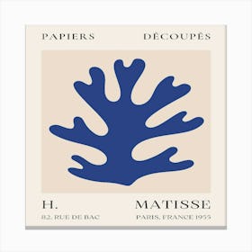 Matisse (15) Canvas Print