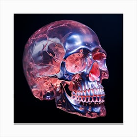 Human Skull On Black Background Canvas Print