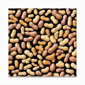 Peanuts On Black Background 1 Canvas Print