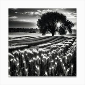 Tree In The Field 2 Canvas Print