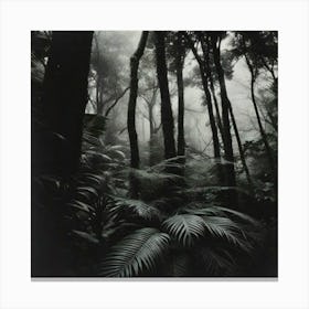 Black Forest Canvas Print