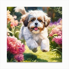 Shih Tzu Canvas Print