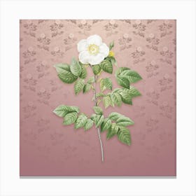 Vintage Leschenault's Rose Botanical on Dusty Pink Pattern n.2552 Canvas Print