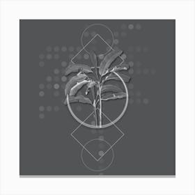 Vintage Banana Tree Botanical with Line Motif and Dot Pattern in Ghost Gray n.0261 Canvas Print